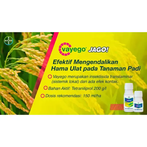VAYEGO 100 ml