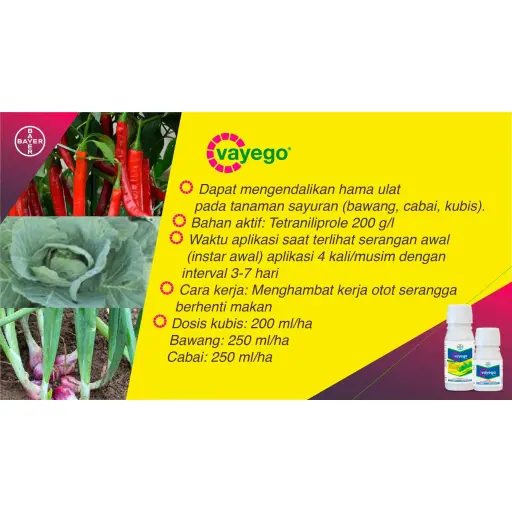 VAYEGO 100 ml
