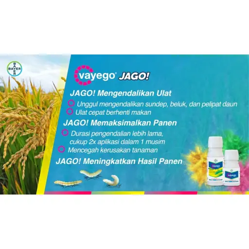 VAYEGO 100 ml