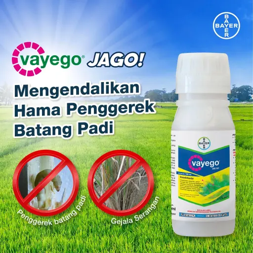 VAYEGO 100 ml