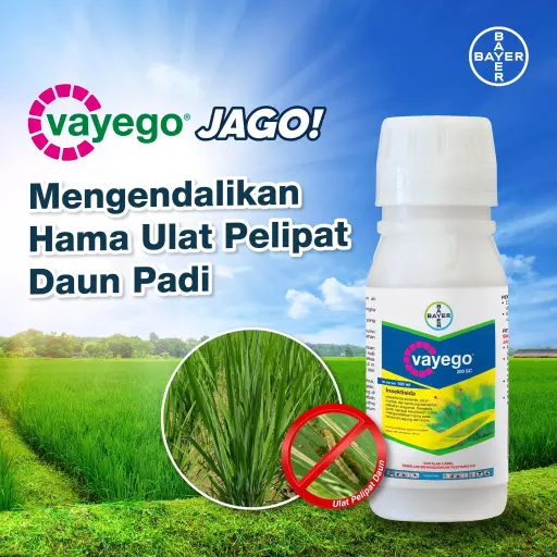 VAYEGO 100 ml