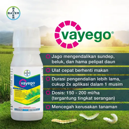 VAYEGO 100 ml