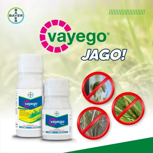 VAYEGO 100 ml