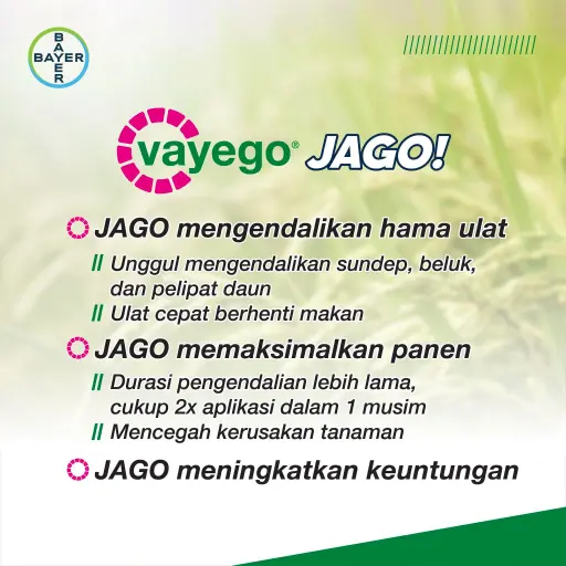 VAYEGO 100 ml
