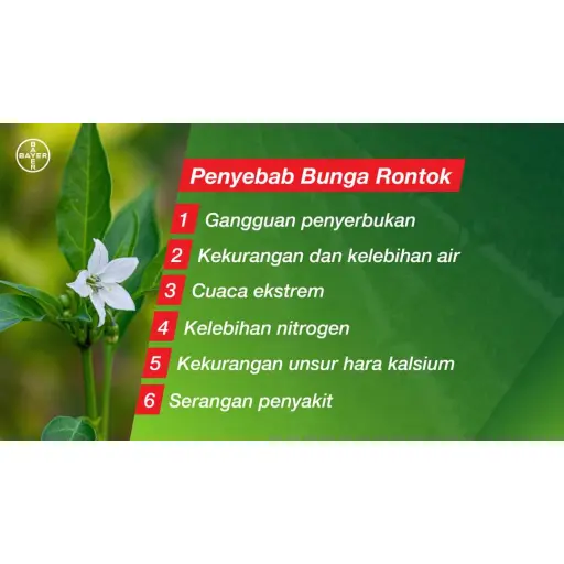 LUNA SMART 100 ml