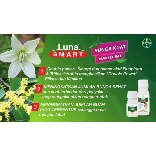 LUNA SMART 100 ml