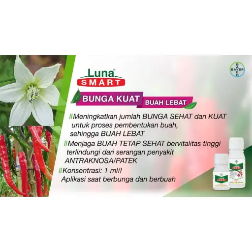 LUNA SMART 100 ml