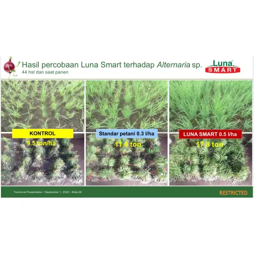 LUNA SMART 100 ml