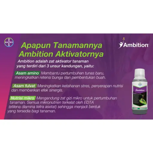 AMBITION 1 lt