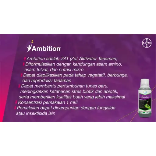 AMBITION 1 lt