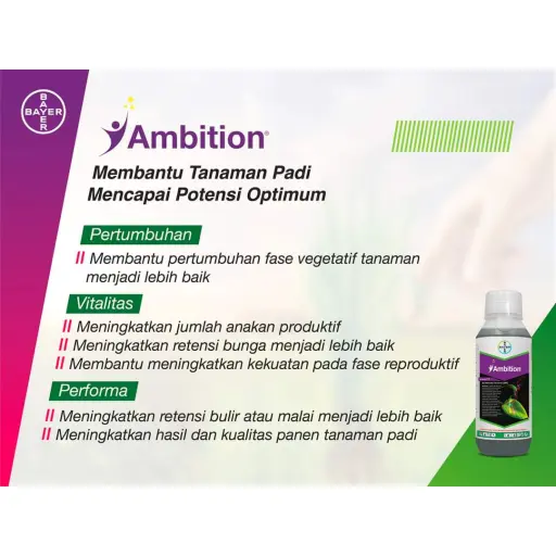 AMBITION 1 lt