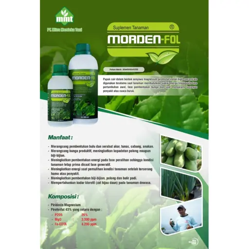 MORDEN-FOL 1 lt