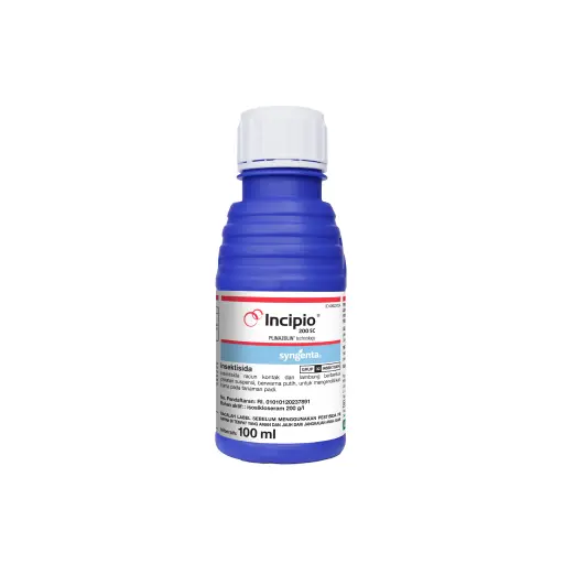 INCIPIO 100 ml