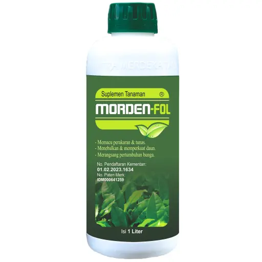 MORDEN-FOL 1 lt