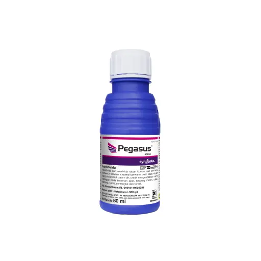 PEGASUS 80 ml